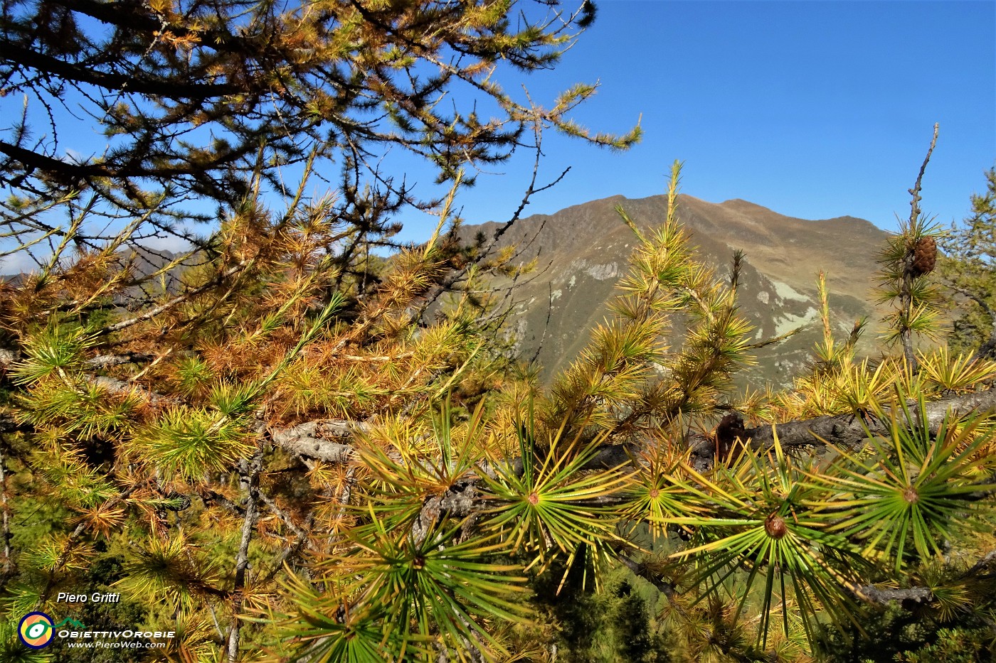 32 Cima di Lemma tra colori d'autunno.JPG -                                